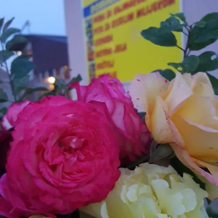 Pansion I Restoran ,, Pogled