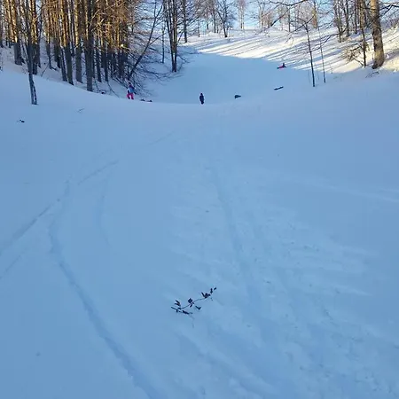 Pansion I Restoran ,, Pogled